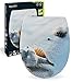 Produktbild aquaSu® WC-Sitz mit Absenkautomatik, Maritim Dekor Sandkorn, Thermoplast Toilettendeckel, abnehmbar dank Take-Off-Funktion, Top-Fix Befestigung von oben, Standard O Form, 40669 7