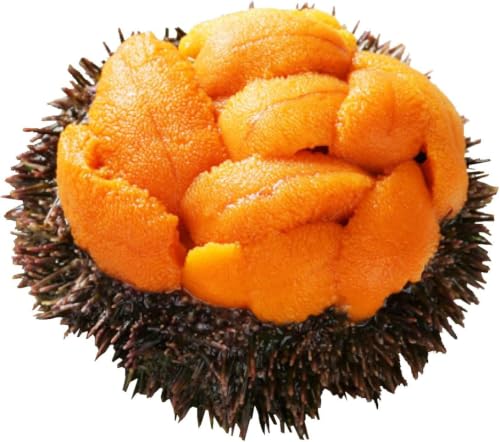 [ミョウバン不使用]無添加 エゾバフンウニ 塩水パック 100g (B:10月下旬〜11月下旬迄)