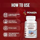 Cleanse Detox and Repair Supplement by Homacia | Choline-Infused Natural & Vegan-Friendly | Liver Health for Women & Men | 90 Caps - Image 4