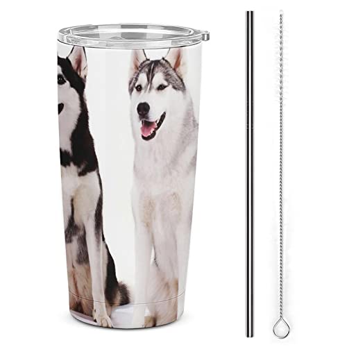  590ml nXL[ 킢  e Xg[ƂӂtXeX| ^u[ fMZp ۉ ۗ EH[^[{g Q  Y_ y ^ ԗp AEghA Lv