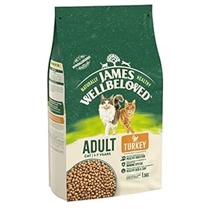 James Wellbeloved Adult Turkey 1.5 kg Bag, Hypoallergenic Dry Cat Food