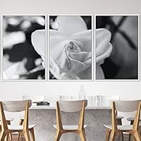 3 Piece Framed Canvas Wall Art Black and White Botanical Canvas Prints Home Artwork Decoration for Living Room,Bedroom - 16