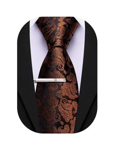 Image of Barry.Wang Paisley Tie for Men Silk Woven Necktie and Tie Clip Set Wedding Party Business Formal
