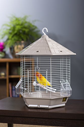 Prevue Pet Products Sp31998Gray/Brown Copacabana Bird Cage, Stone #TOP2
