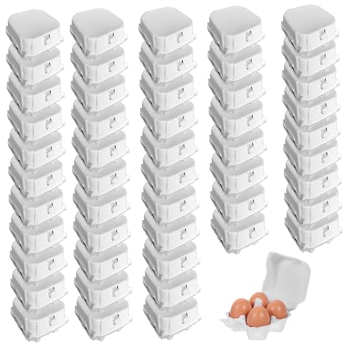Carton à œufs avec couvercle verrouillable en pâte papier de 50 pcs