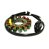 Elección óptima: estator magnético de motocicleta, buena ingeniería de torque, mayor eficiencia de trabajo y más duradero, mayor rendimiento, para que usted brinde una mejor experiencia de conducción.