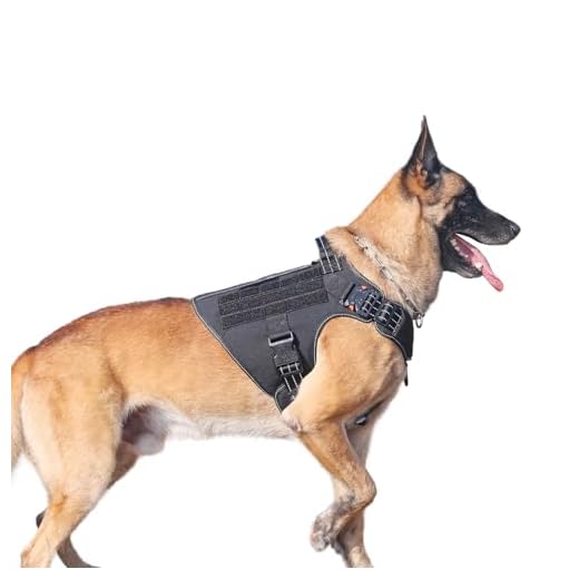 ICEFANG Tactical Dog Harness ,2X Metal Buckle,Working Dog MOLLE Vest with Handle,No Pulling Front Leash Clip,Hook and Loop Panel (Large (Pack of 1), Reflective Black)