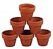10 Mini 1 3/4" Clay Pots - Great for Plants and Crafts