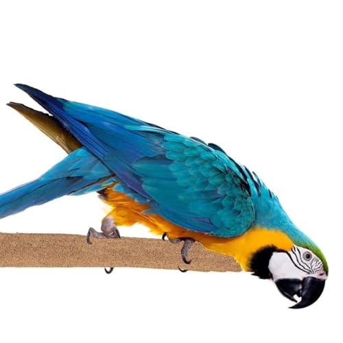 Super Bird Creations SB1154 Sure-Grip Grooming Perch Extra Large, Large/XL Bird Size - Enriches Beak and Foot Health - Ideal for Parrots African Greys Cockatoos - XL Bird Size, 1 1/4