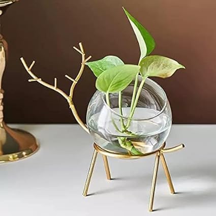 JS CRAFTS Glass Planter Holder Deer |Glass Pot| Glass Flower Pot| Glass Flower Round Vase Handmade for Decorate House, Home Decor Items Set of 2 (B0D842D1GN) Amazon Price History, Amazon Price Tracker