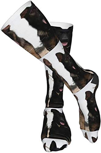 Black German Shepherd Puppies Men's/Women's Comfortable Casual Funny Long Knee High Socks Compression Socks Winter Warm Soccer Socks #TOP4
