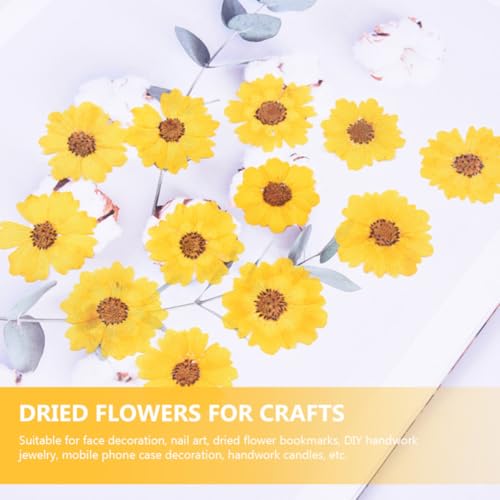 VOSAREA 天然ドライフラワー24個入り 黄のデイジー 押し花 DIYキャンドルやネイルアートに最適自然な形色維持するエレガントな花飾り [4]