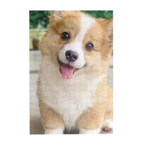  ˂ 킢 i11j 300s[X WO\[pY l jЂȂ J`ƃn} a  CeA MtgnEX i38×26cmj