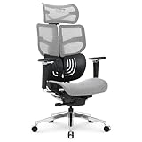 Cadeira Escritório Ergonomica DT3 Frost com revestimento Mesh DT3 Vintex-F™, apoio de cabeça 3D,braços 5D,Estrutura em Alumínio+Nylon,suporta até 160kg e altura máx. de 1,90m (Grey)