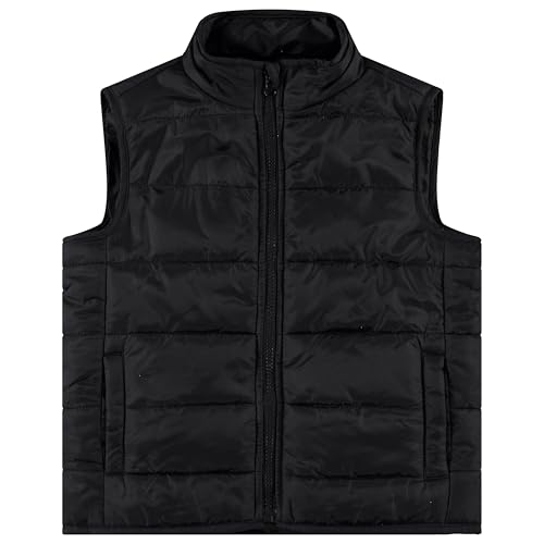 STITCH & STONE 4 Piece Toddler Boys' Outfit Set Long Sleeve Dinosaur Graphic Shirt, Puffer Vest, and 2 Jogger Sweatpant4