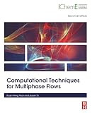 Computational Techniques for Multiphase Flows