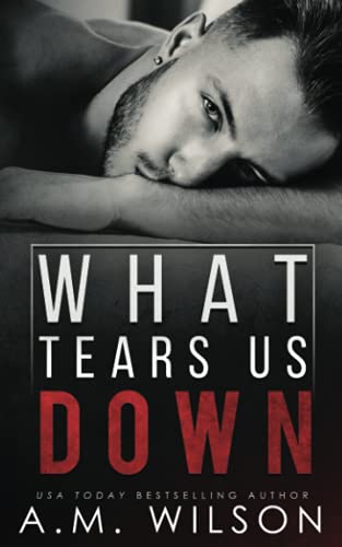 What Tears Us Down (Arrow Creek)