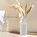 White Ceramic Flower Vase, Minimalist Modern Home Decor, Matte Finish Pampas Grass Vase for Table, Fireplace, Shelf, Mantel, Entryway and Centerpieces