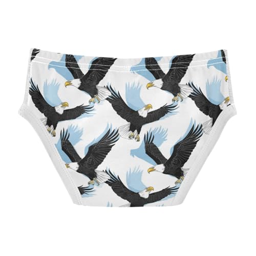 Wusikd Black White Boys' Underwear Cotton American Bald Boys Briefs Soft Toddler Underwear 2T2