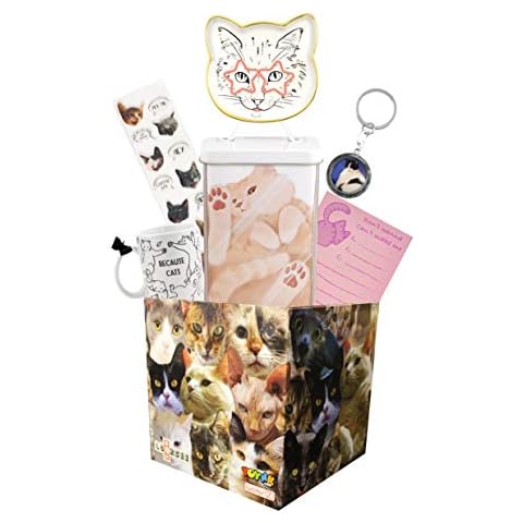 Cat LookSee Mystery Gift Box by Toynk Cover