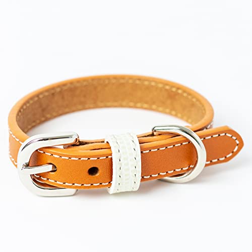 犬 首輪 犬の首輪 小型犬 中型犬用 革 おしゃれ m-s (S(22-28), キャメル)