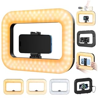 yAyusi Lampe de Téléphone pour Vidéo, Stabilisateur de Téléphone Portable avec Eclairage, Anneau Lumineux LED 8000mAh pour Selfie avec Support, Support Vidéo pour Smartphone/Caméra Action/Vlog/TikTok