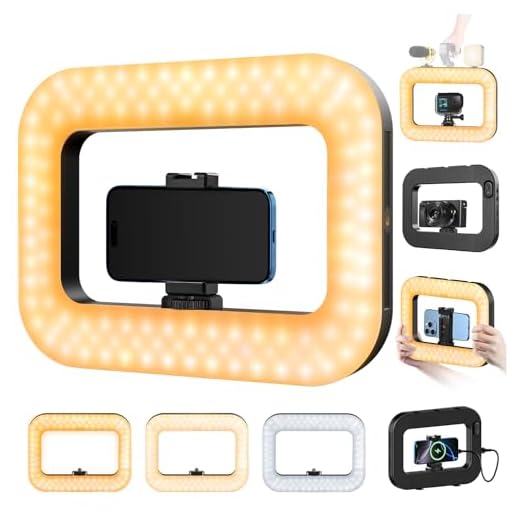 yAyusi Cell Phone Light for Video Recording, Handheld Phone Stabilizer with Light, 8000mAh LED Selfie Phones Ring Light with Phones Holder, Smartphone Video Rig for Camera, Action Camera, Vlog, TikTok