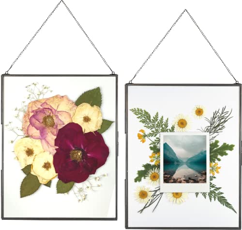 Beedecor Double Glass Frame for Pressed Flowers, Photos and Artwork