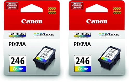 Image of Canon CL-246 Genuine Color Ink Cartridge, Compatible with iP2820, MG2420 /2924 /2920 /3020 /2522 /2525, MX492, TS3120 /302 /302a /202 /202a /4520 /3320 (Pack of 2)