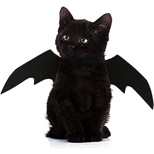 FINGOOO Halloween Pet Dog Cat Costume Vampire Wings Fancy Dress Bat Wings for Cats Dogs Neck Circumference from 25-35cm and Bust from 45-65cm