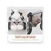 Dog Wheelchair Two Wheeled Cat Wheelchair Back Legs, Small Medium Large Dog Assist Brace Adjustable for Disability Paralysis, Pet Recover Stroller Walker Aid(Medium)