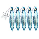 OCEAN CAT Slow Pitch Lead Metal Flat Fall Fishing Jig Lure Bait Spoons with Assisted Hook Sinking Vertical Jigging for Saltwater Offshore Fishing
