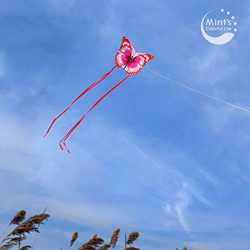 Butterfly Kite #TOP2