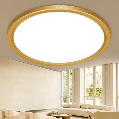 slochi 18W 1800LM LED Deckenlampe