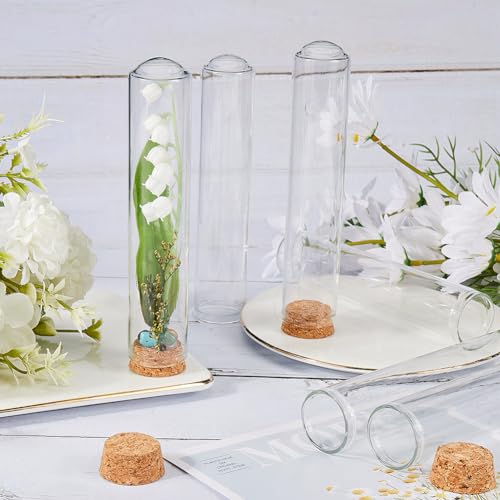 Bocal en verre avec base en liège pour protéger vos souvenirs et fleurs - 5