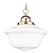 Hudson Valley Edison Collection Pendant in Polished Nickel