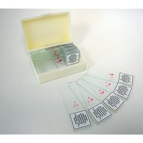 Prepared Slide, Human Eptihelium Comparison, Classpack of 15 Sides Cover