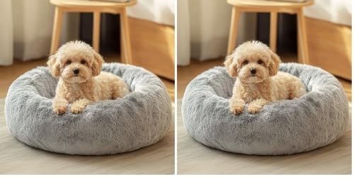 Image of JOLLYVOGUE Small Dog Bed, Calming Dog Beds for Small Dogs & Indoor Cats - 20 Inches Donut Washable Cat Bed for Kittens & Puppies, Round Fluffy Plush Faux Fur Pet Beds(Smoke Grey) (Pack of 2)