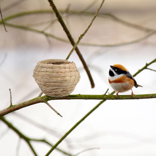 Mangeoire à oiseaux pour protéger les nids des intempéries au jardin - 6
