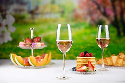 Nachtmann Vivino Champagne Glass, 4 Count (Pack Of 1), Clear #TOP4