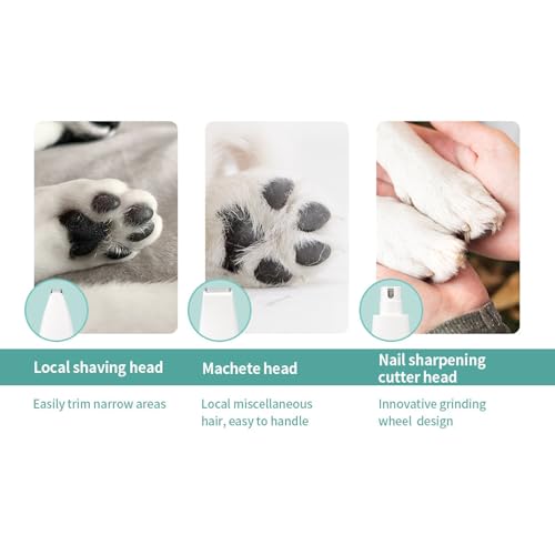Tondeuse rechargeable pour animaux dotée de 4 têtes interchangeables