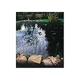 Siena Garden Teichabdecknetz, Teichschutz, für Laub & Äste, 4x10m, 543294