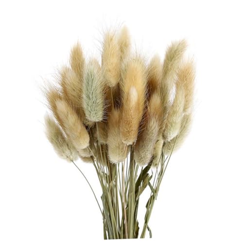 ABOOFAN Flores secas, rabo de coelho, grama, grama, raposa, coelho, grama, flores comuns, ramo para