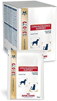 convalescence support instant