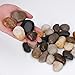 River Rock,Aquarium Pebbles,2.2lb,Decorative Stones Pebbles,Natural Polished Mixed Color Stones -Use in Glassware,Aquariums for Aquariums, Landscaping, Vase Fillers,Terrarium Plants Garden Pebbles