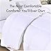 SNUZZZZ Alternative Down Queen Comforter Duvet Insert with Nanotex, Hypoallergenic and Reversible