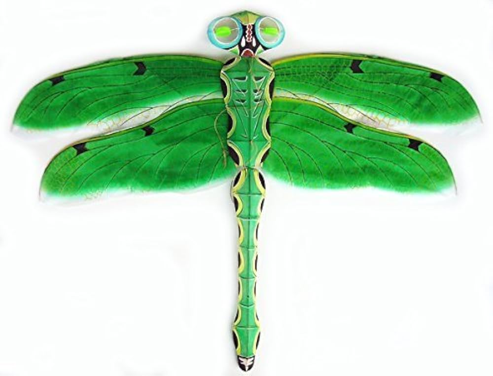 凧 Amazon.co.jp: 濰坊凧：伝統トンボ凧（緑色）：チョウ凧 図案も