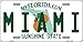 SIGNCHAT Targa con Scritta in Lingua Inglese Miami Florida (Lingua Italiana Non Garantita), 15 x 30 cm