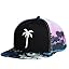 Palm Beach and Sunset - Black