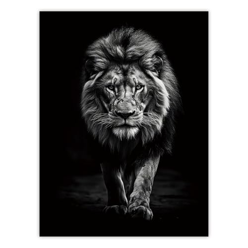 Framed Lion Wall Art, Lion Pictures Wall Decor, Lion of
